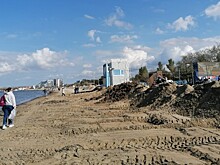 «Сезон 2026 года в Анапе обязательно будет» — депутат ГД Сергей Миронов