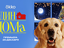 26 декабря в Okko выйдет специальная новогодняя «Догументалка»