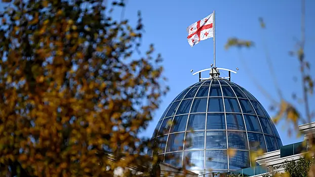 Грузия отказалась от участия в заседании «Евронеста»