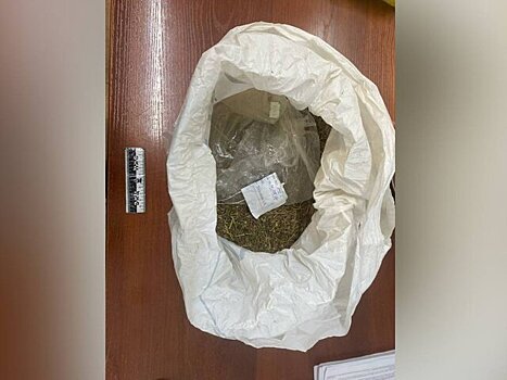 Подозреваемого в краже 12 лошадей и хранении наркотиков задержали в Тыве