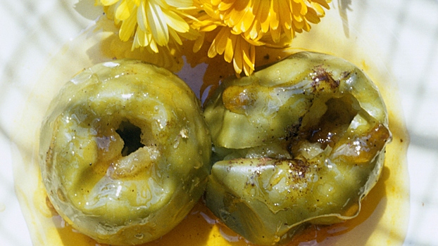 Врач Марченко: Квашеные фрукты и морепродукты поддержат репродуктивную функцию