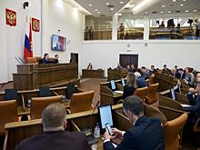 Годик пересидеть. Зачем ЗС Красноярского края объявило довыборы за год до истечения полномочий?
