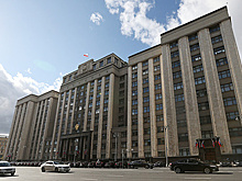 Комиссия Госдумы предлагает признать нежелательными в РФ еще 14 зарубежных НПО