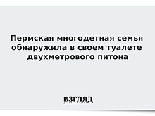 Пермская многодетная семья обнаружила в своем туалете двухметрового питона
