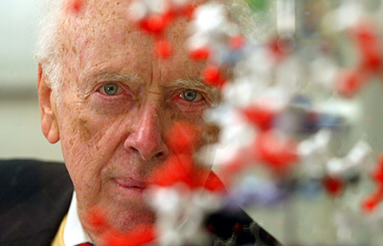 Как была открыта двойная спираль ДНК