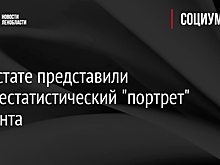 В Росстате представили среднестатистический "портрет" мигранта