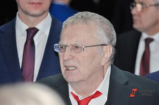 Жириновский призвал срочно запретить полеты в Турцию