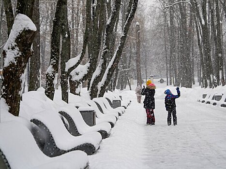Облачная погода и небольшие осадки ожидаются в Москве 27 февраля