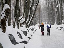 Облачная погода и небольшие осадки ожидаются в Москве 27 февраля