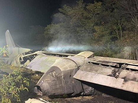 Новый виток скандала с упавшим самолетом: заговорили о политических животных