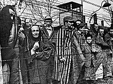 ФСБ рассекретила материалы о массовых убийствах в концлагере Треблинка в Польше