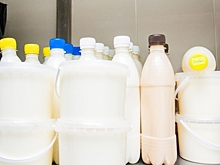 Волгоградская область лидирует по внедрению маркировки молочной продукции