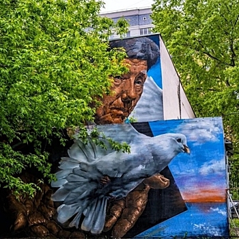 Граффити «Голубь мира» появилось в Нижнем Новгороде