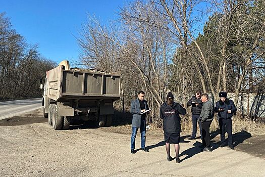 На Дону оштрафованы еще 100 серых возчиков за незаконное обращение с отходами