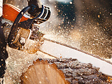 Жители Молдовы закупают дрова к отопительному сезону из-за роста цен на газ