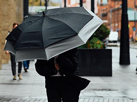 Небольшой дождь и до 9 градусов тепла ожидаются в Москве 11 мая