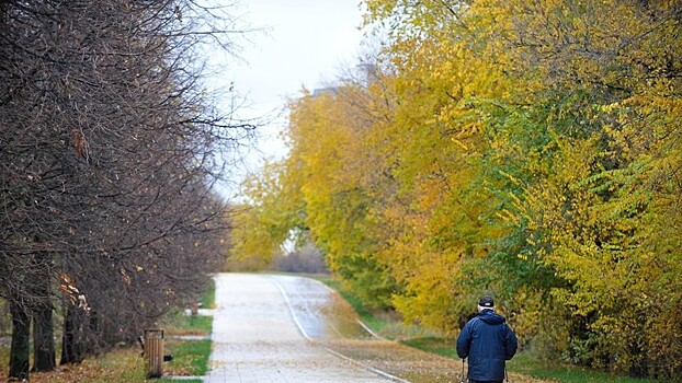 Москвичам пообещали потепление