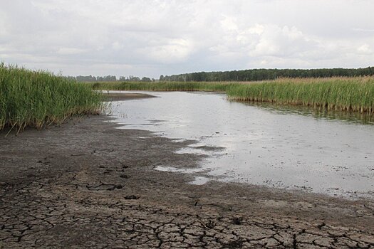 Сладкая жизнь вредит озеру Горькое