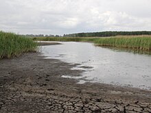 Сладкая жизнь вредит озеру Горькое