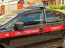СК возбудил против лидера «Гражданского общества» дело о реабилитации нацизма
