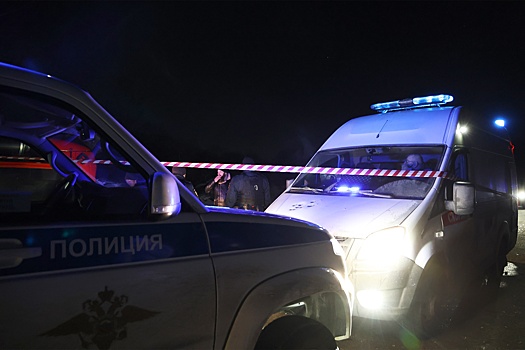 Депутат Буцкая запросила отчет об условиях жизни убитого в Петербурге мальчика