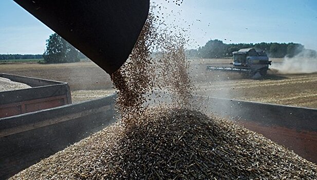 Россия начнет поставки пшеницы в Венесуэлу