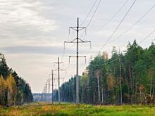 Энергетики оборудуют ЛЭП птицезащитными устройствами в Кенозерье