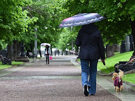 Переменная облачность и кратковременные дожди ожидаются в Москве в четверг