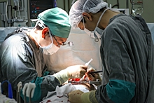 Петр Захаров: Кардиохирурги Якутии готовы проводить операции по трансплантации сердца