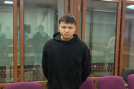 В Екатеринбурге иностранца осудили за реабилитацию нацизма