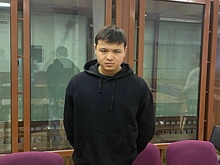 В Екатеринбурге иностранца осудили за реабилитацию нацизма