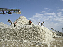 В Хорезмской области появится новый экспериментальный завод