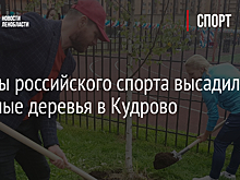 Звезды российского спорта высадили именные деревья в Кудрово