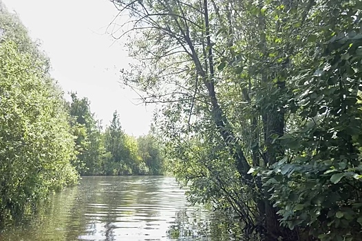Реки Имза и Княгинка в Княгининском районе стали чище