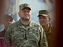 Стало известно о новом звании Залужного