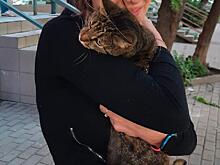 Рязанец залез на дерево ради спасения кота