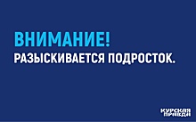 В Курске полиция ищет пропавшего подростка