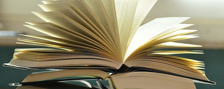 Херсонская область получила 400 книг из фонда Никиты Михалкова