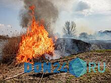 На Дону сотрудники МЧС России ликвидировали ландшафтный пожар