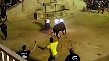Разъяренный бык растерзал туриста на испанском фестивале: видео