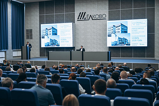 Андрей Булгаков: Щёлково, Лосино-Петровский и Фрязино объединяются для решения общих проблем