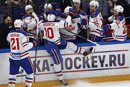 Галузин несколькими ударами уложил на лёд Бардакова во время матча СКА — «Витязь»