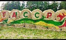Поздравительные открытки и тюки сена: новые посты глав районов Татарстана в "Инстаграме" 30 августа