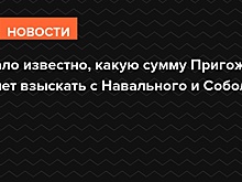 Стало известно, какую сумму Пригожин хочет взыскать с Навального и Соболь