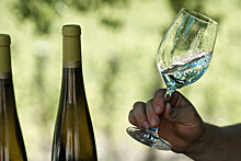 Нарколог Брюн: в жаркую погоду можно употреблять белое сухое вино с водой и лимоном