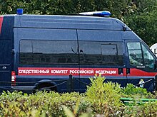В Петербурге поймали подростков за избиение прохожих