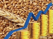 Российские экспортеры зерна вошли в Международную коалицию IGTC