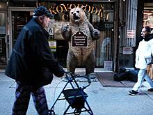 «Русское позорище». Тревел-блогерша описала район в центре Нью-Йорка