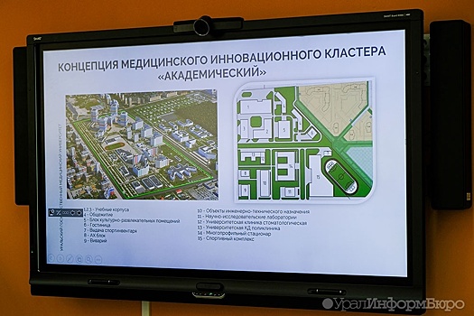 Новые экономические условия не помешают появлению медкластера в Академическом