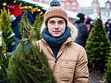 На Вольной можно сдать на переработку отслужившую новогоднюю ель